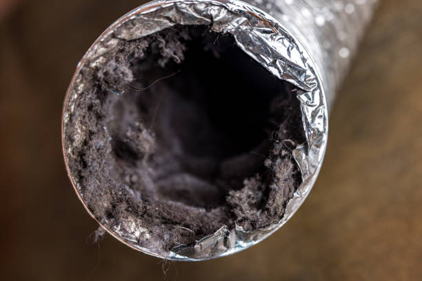 Best HVAC Air Duct Cleaning  in Oak Grove, LA