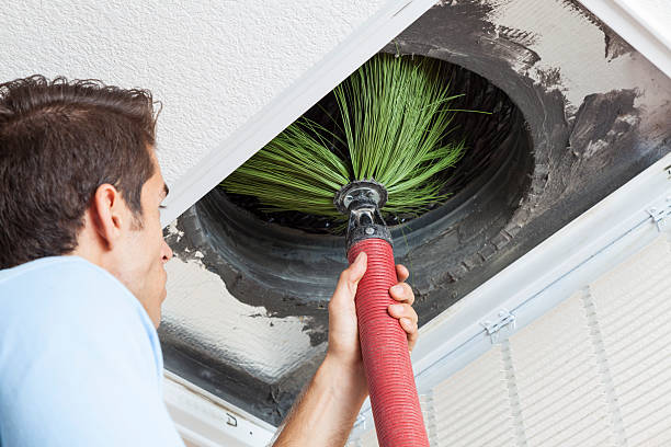 Best Air Duct Cleaning Company Near Me  in Oak Grove, LA